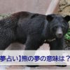 熊の夢