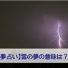 雷の夢